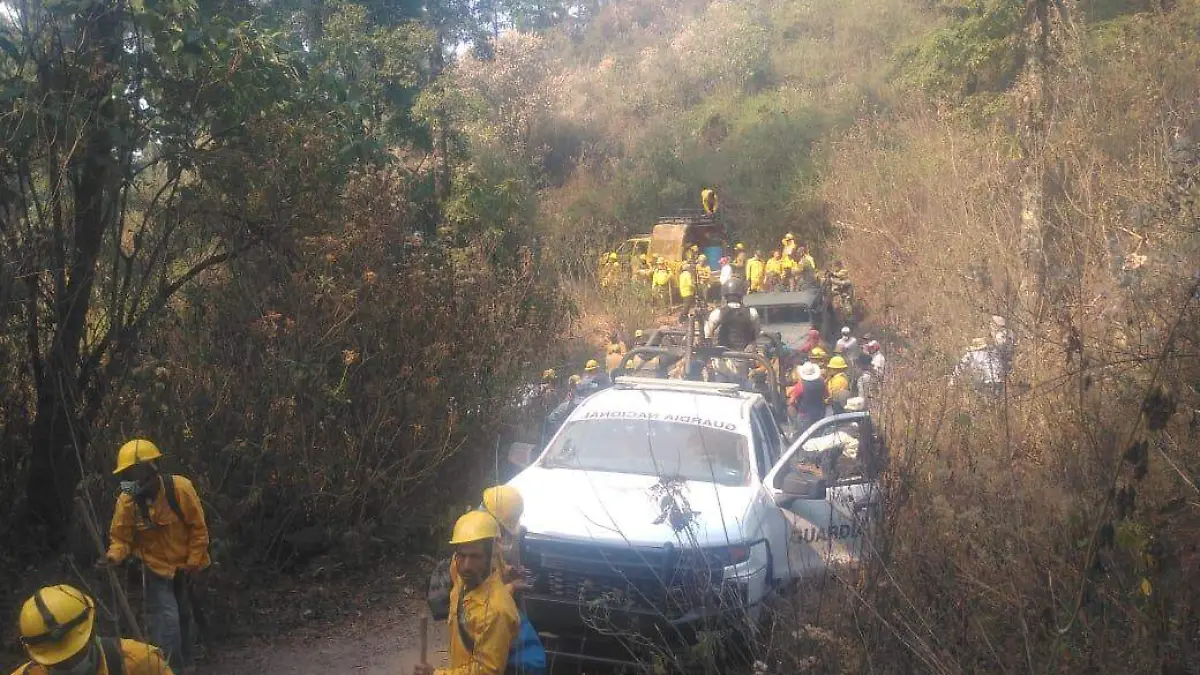 brigadas anti incendios